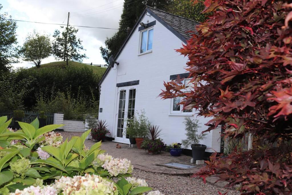 Garn Lodge Newtown  Luaran gambar