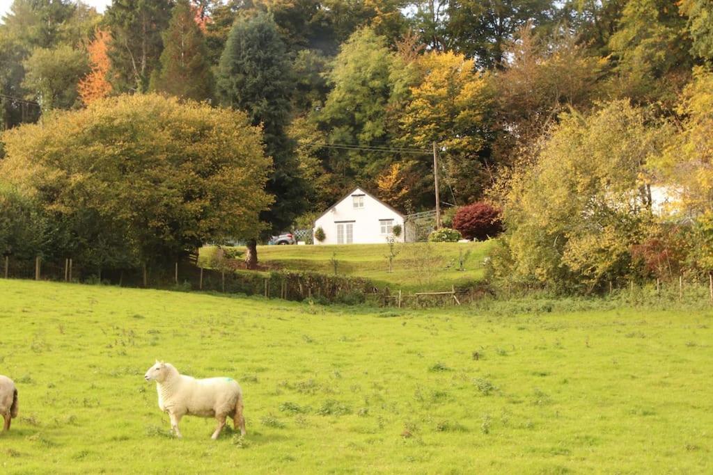 Garn Lodge Newtown  Luaran gambar